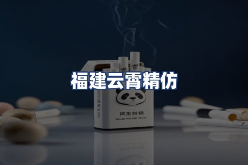 福建云霄精仿